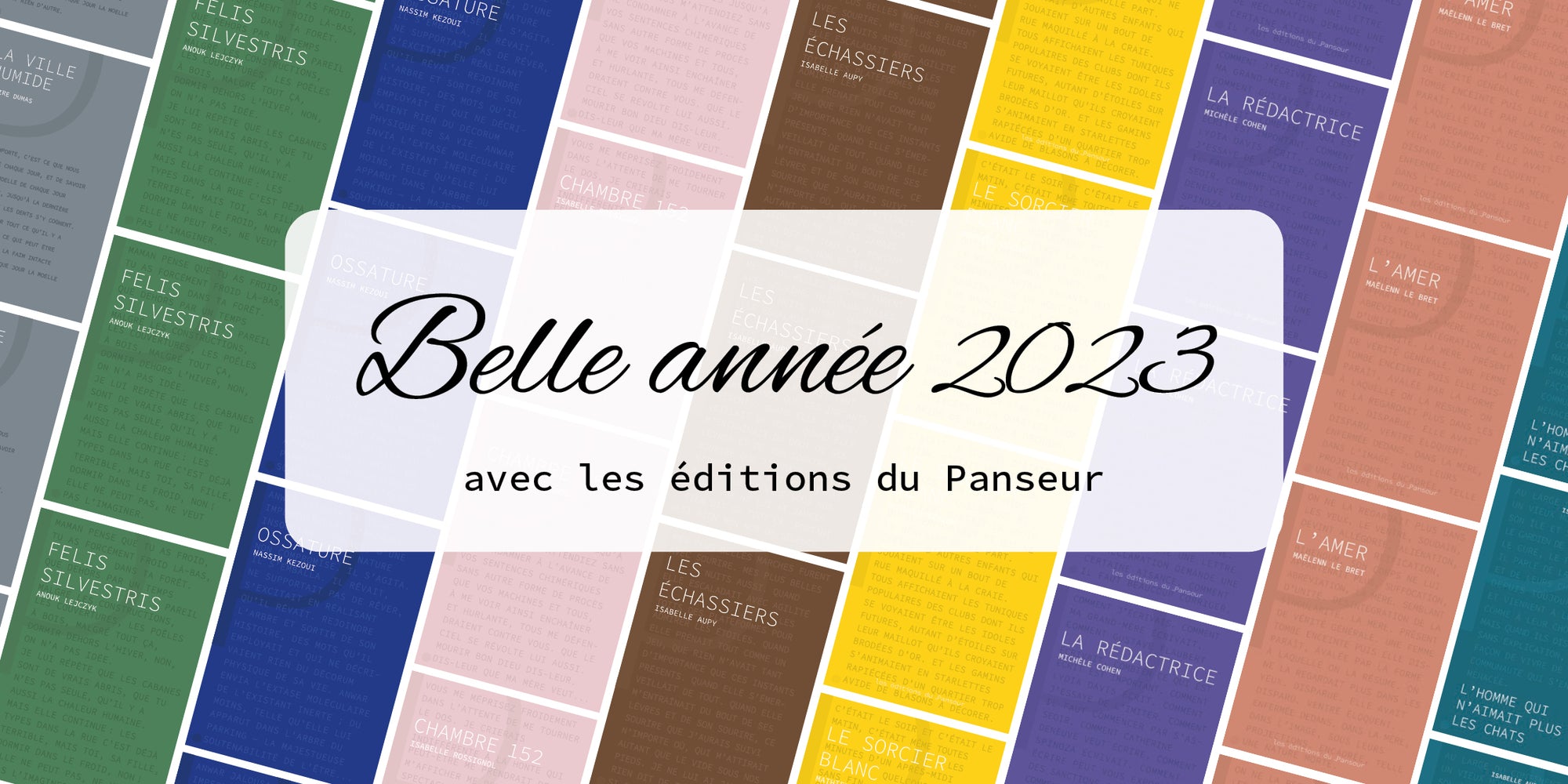 // Belle année 2023 avec les éditions du Panseur / Bilan et Perspectives //