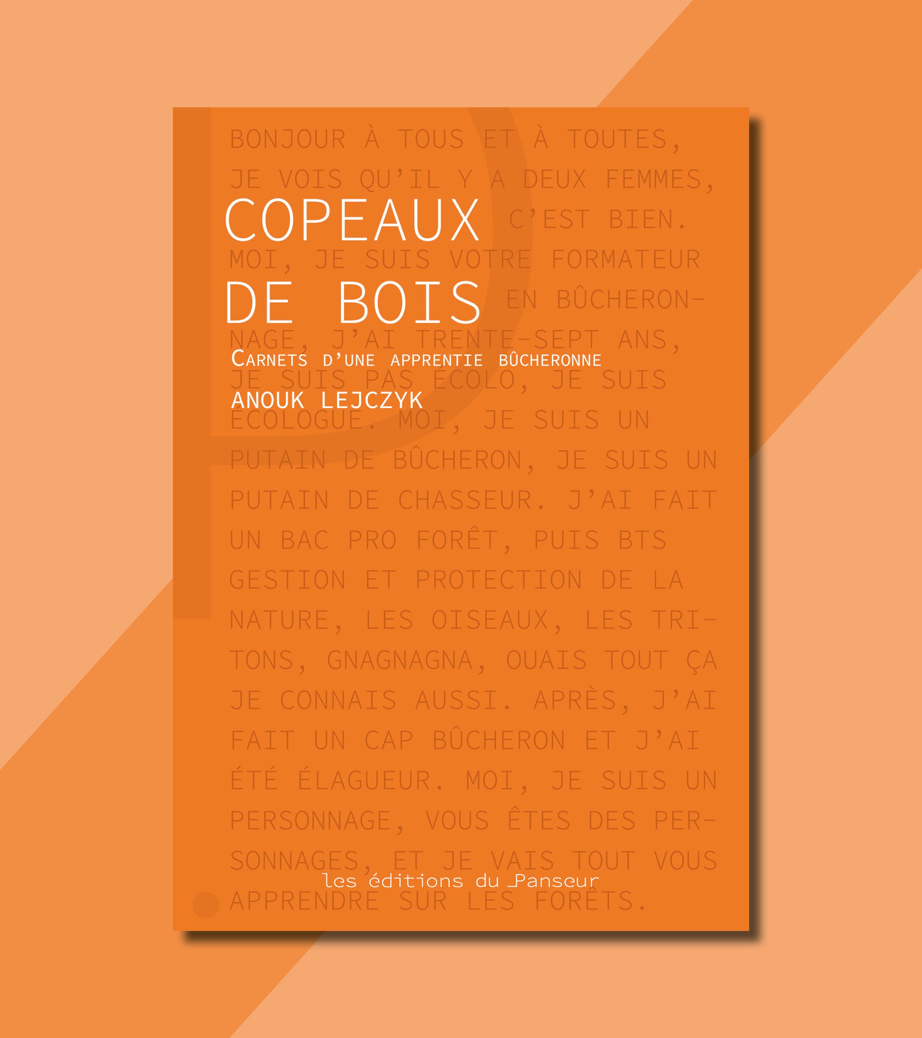 #15 - Copeaux de bois