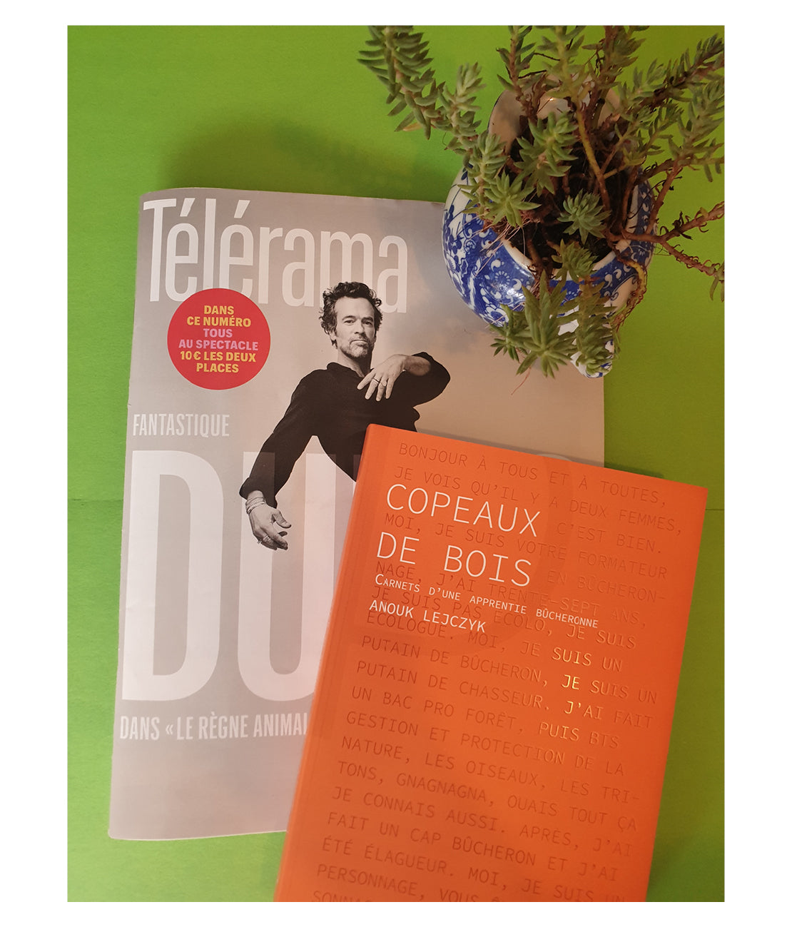 Le livre Copeaux de bois d'Anouk Lejczyk sur la couverture de Telerama avec Romain Duris