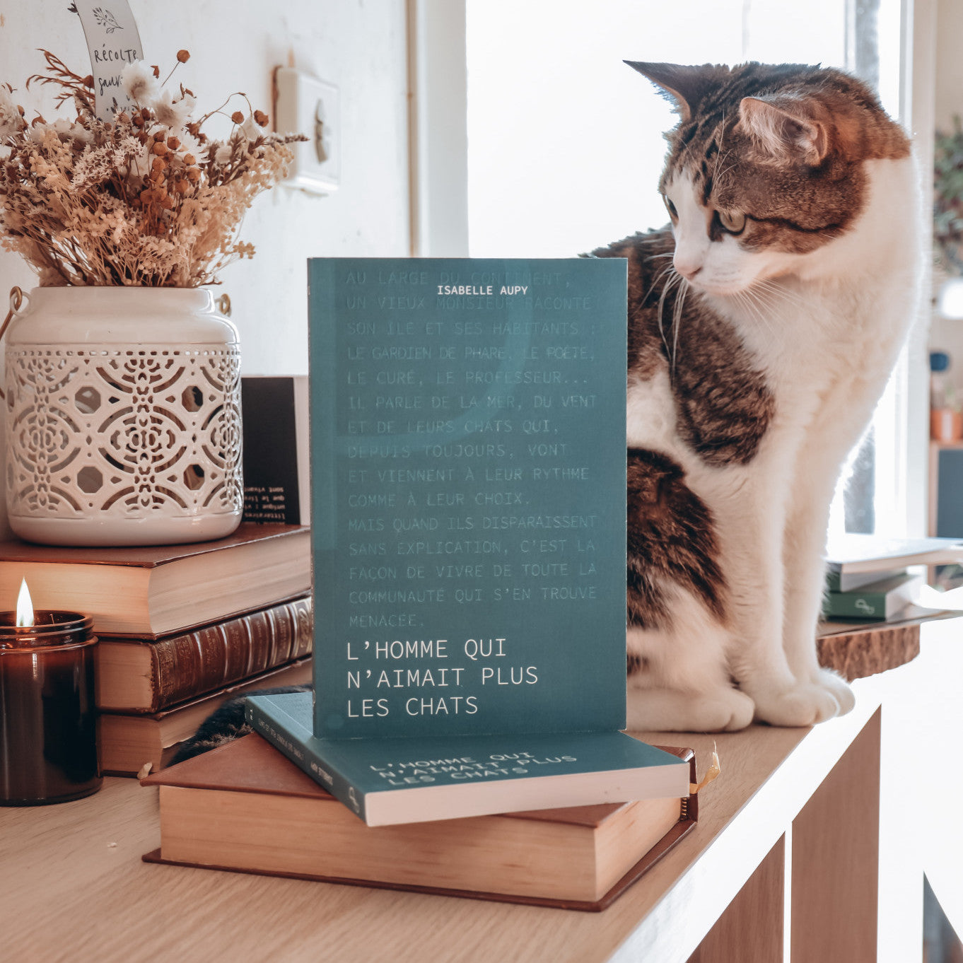 L'homme qui n'aimait plus les chats - Isabelle Aupy - Coup de coeur du libraire - La Zone du dehors - Bordeaux