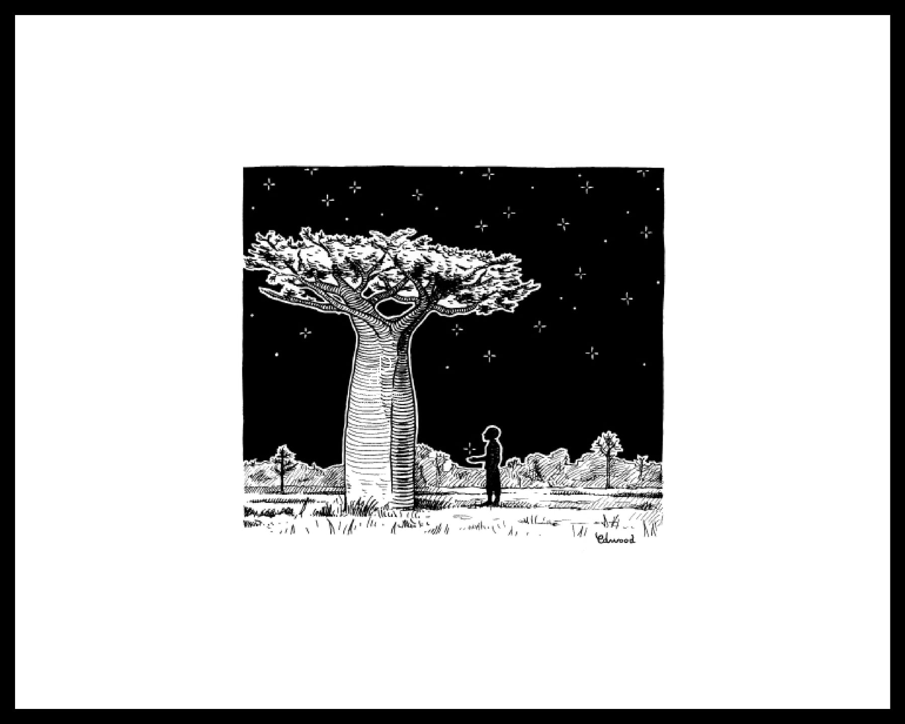 Le Baobab