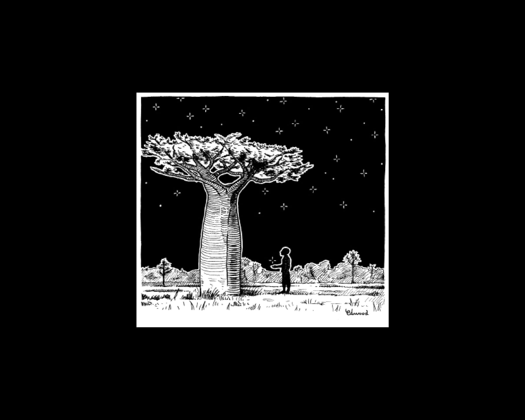 Le Baobab