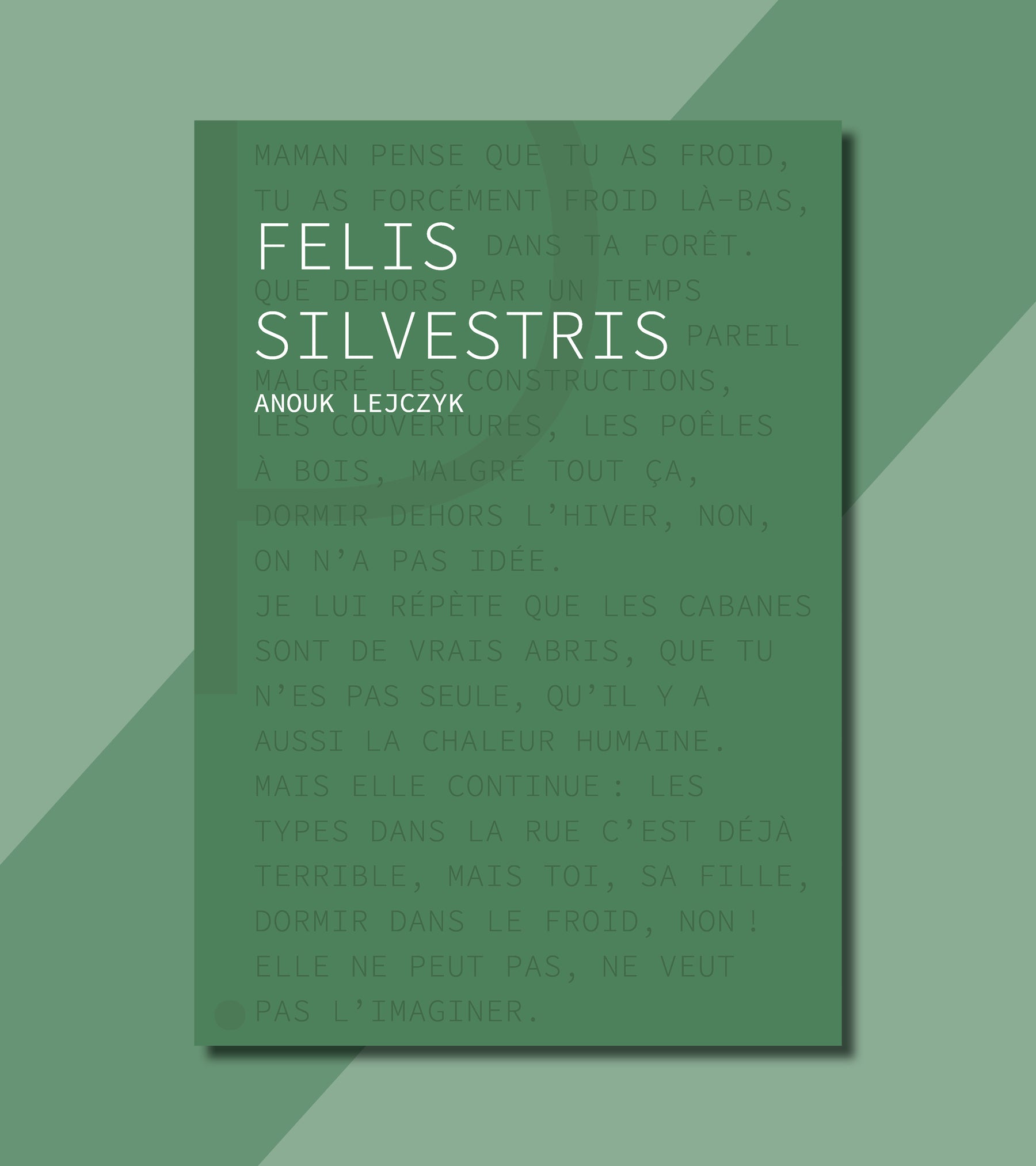 #8 - Felis Silvestris