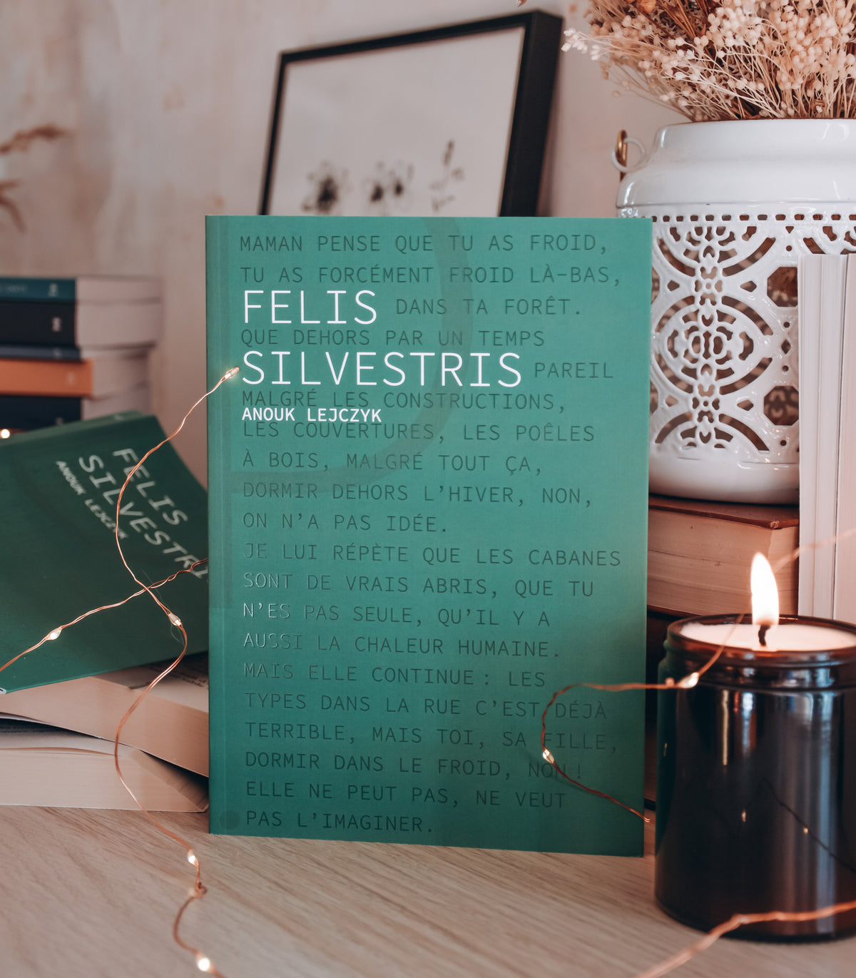 Felis Silvestris - Anouk Lejczyk - Les éditions du Panseur