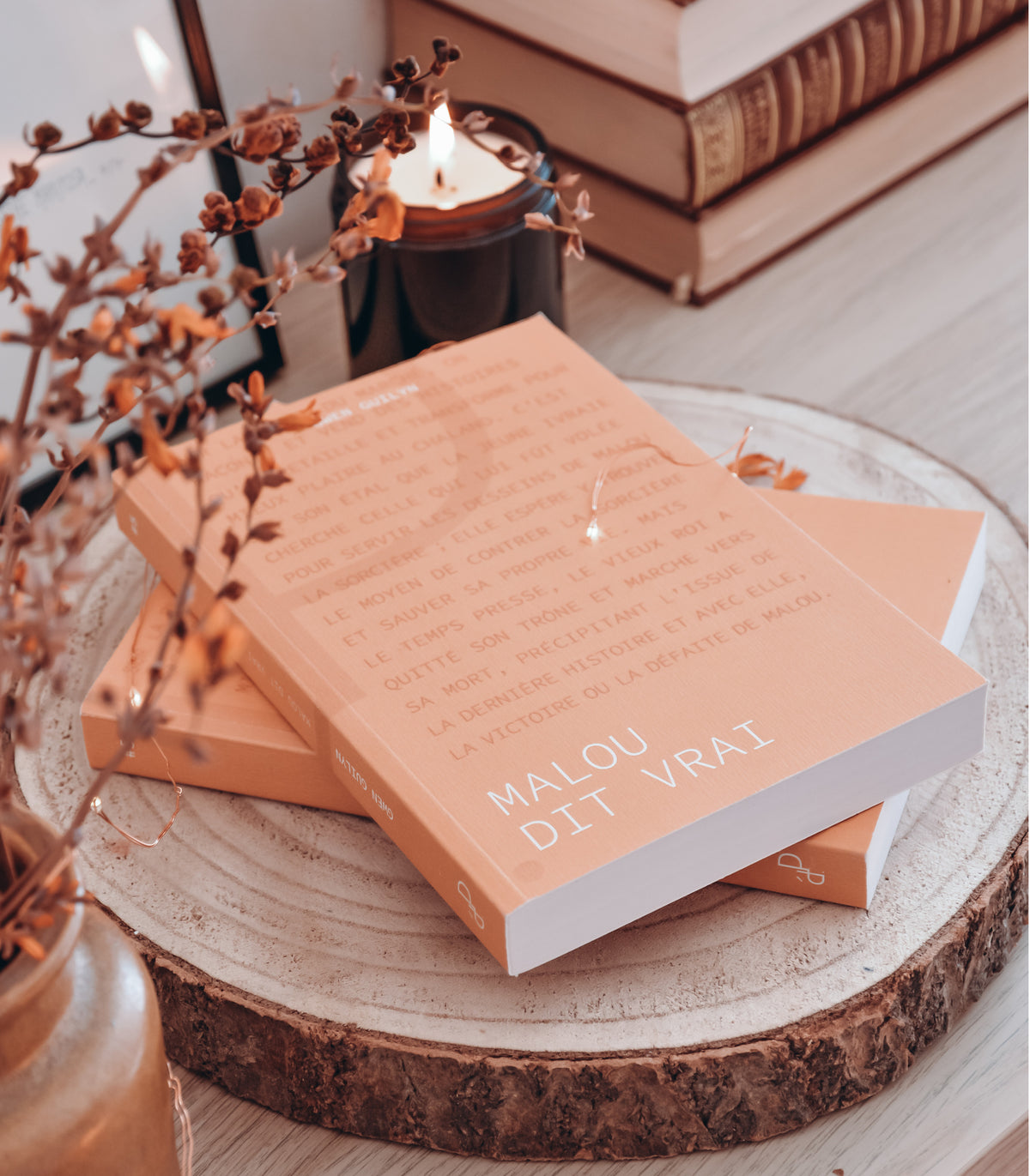 Malou dit vrai - Gwen Guilyn -Les éditions du Panseur