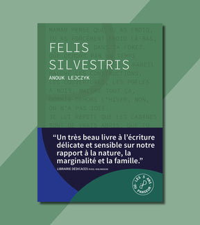 #8 - Felis Silvestris