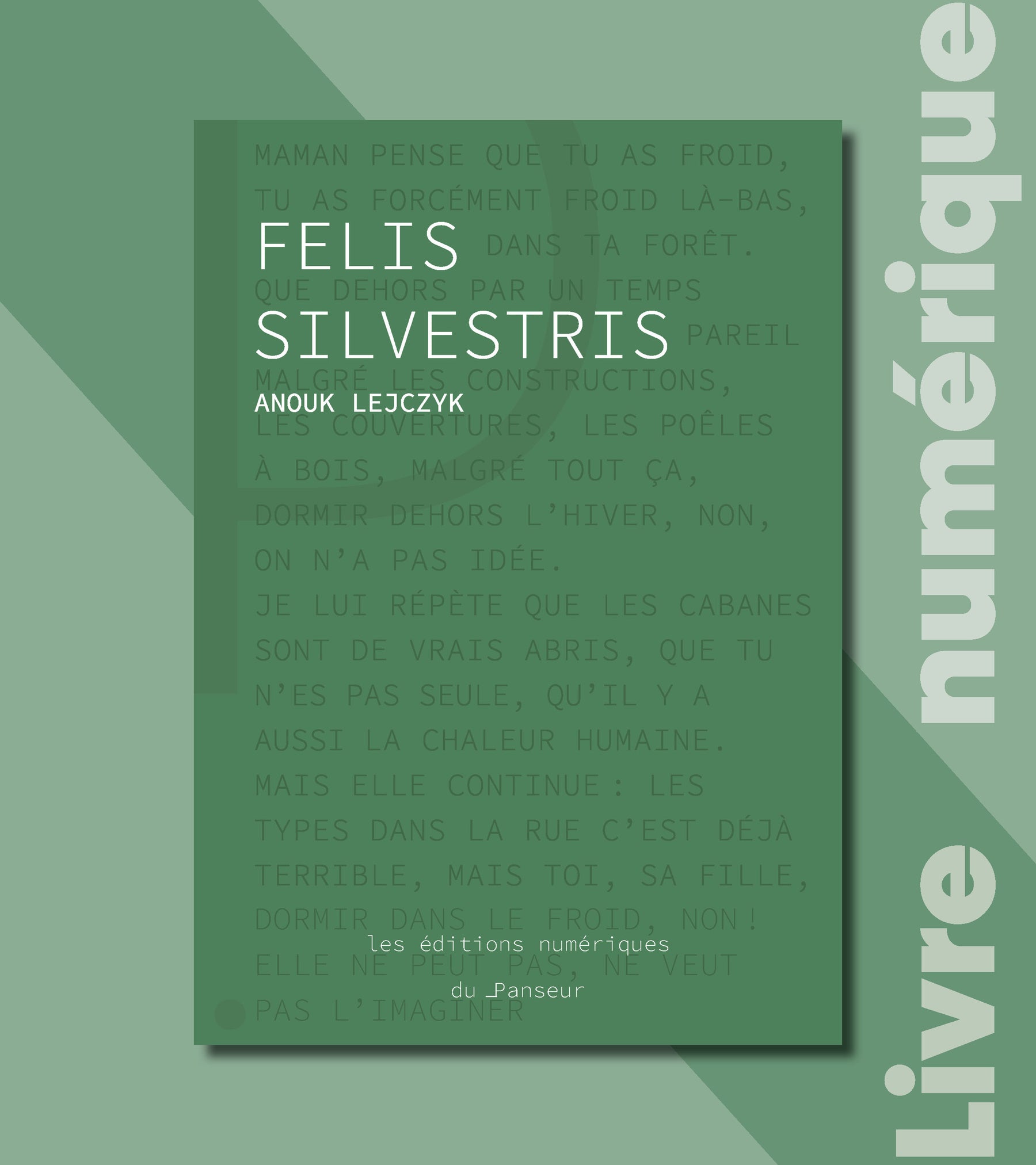 #8 - Felis Silvestris