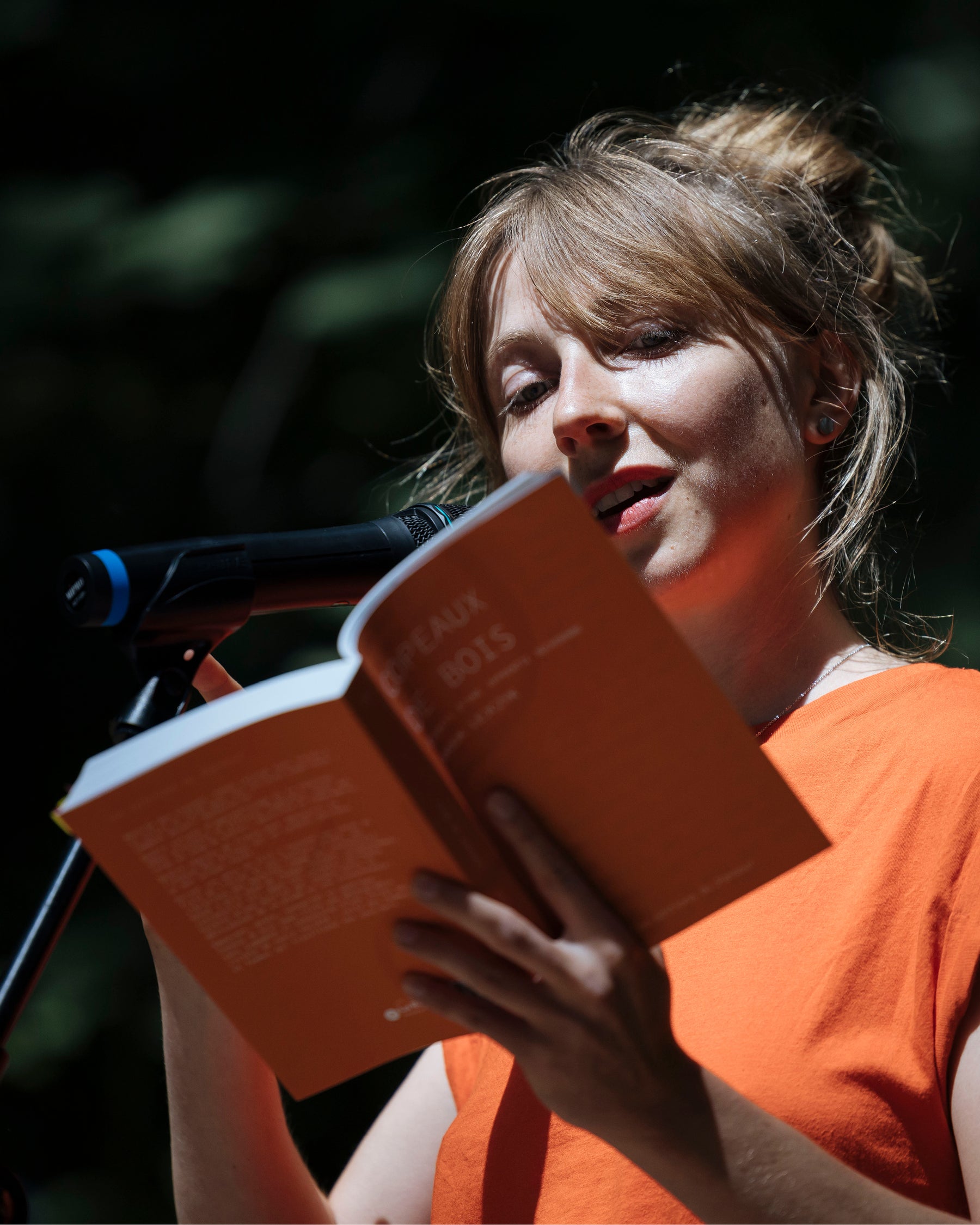 #15 - Copeaux de bois