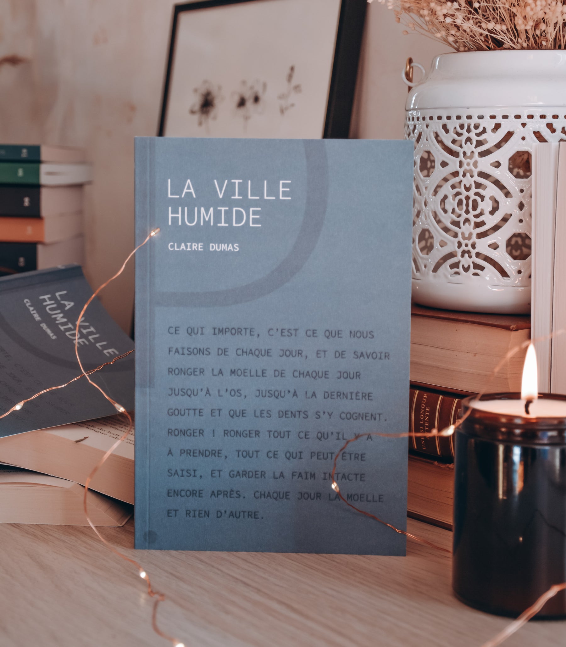 La Ville Humide - Claire Dumas - Les éditions du Panseur